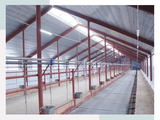 Строительство коровников в Апшеронске от 615 руб.