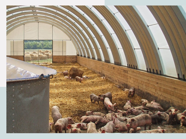 Строительство свинарников в Апшеронске