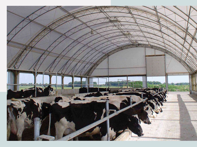 Тентовые коровники в Апшеронске